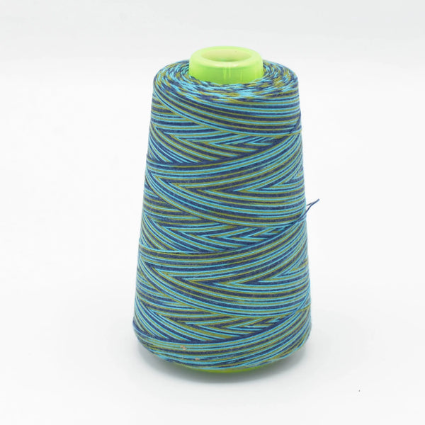 Fil surjeteuse multicouleur 102 - La boite à tissus Fil surjeteuse multicouleur 102