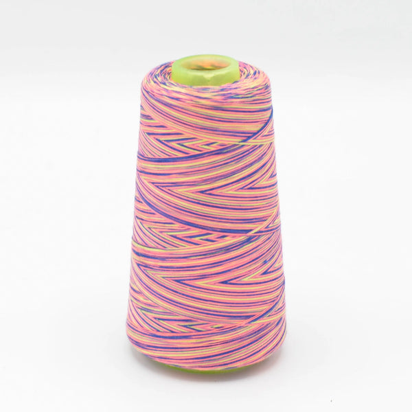 Fil surjeteuse multicouleur 103 - La boite à tissus Fil surjeteuse multicouleur 103