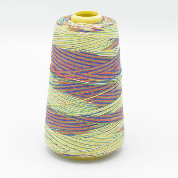 Fil surjeteuse multicouleur 108 - La boite à tissus Fil surjeteuse multicouleur 108