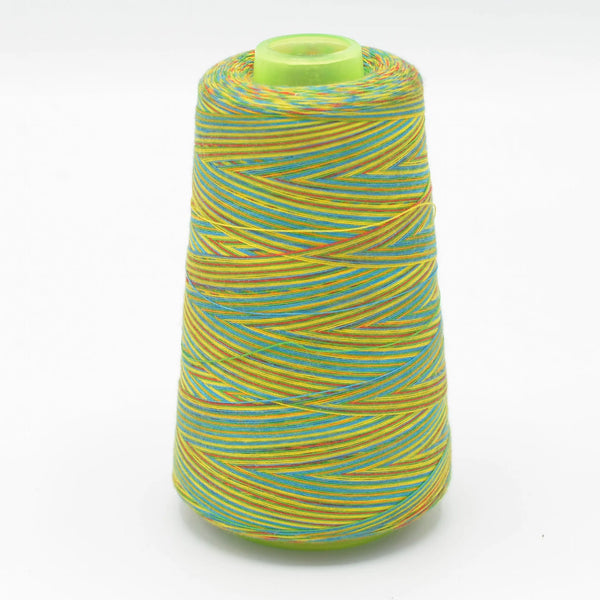 Fil surjeteuse multicouleur 109 - La boite à tissus Fil surjeteuse multicouleur 109