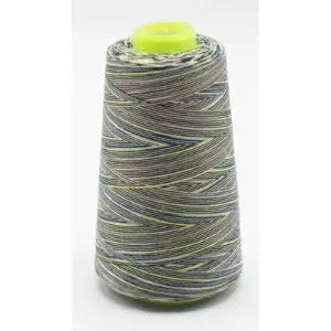 Fil surjeteuse multicouleur 110