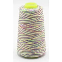 Fil surjeteuse multicouleur 111