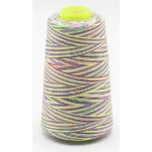 Fil surjeteuse multicouleur 111
