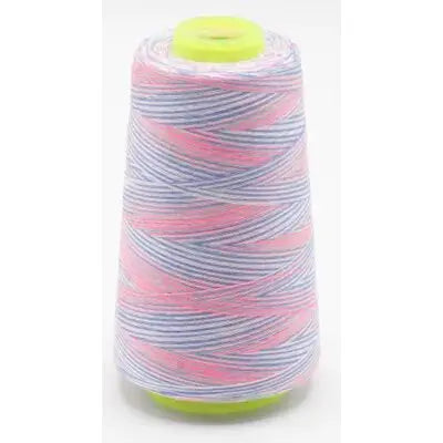 Fil surjeteuse multicouleur 112 - La boite à tissus Fil surjeteuse multicouleur 112