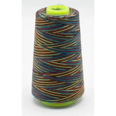 Fil surjeteuse multicouleur 113 - La boite à tissus Fil surjeteuse multicouleur 113