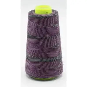 Fil surjeteuse multicouleur 114