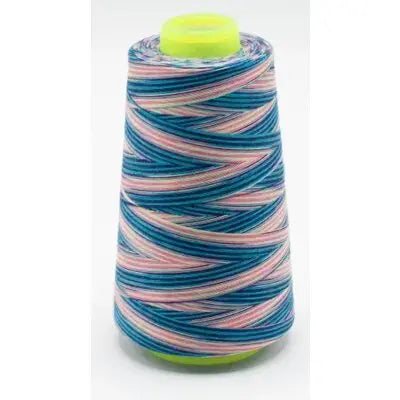 Fil surjeteuse multicouleur 115 - La boite à tissus Fil surjeteuse multicouleur 115