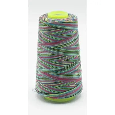 Fil surjeteuse multicouleur 116 - La boite à tissus Fil surjeteuse multicouleur 116
