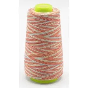 Fil surjeteuse multi couleur 117