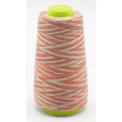 Fil surjeteuse multicouleur 117 - La boite à tissus Fil surjeteuse multicouleur 117