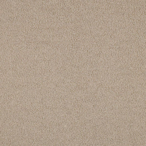 TEDDY FAUX FUR - Light Sand