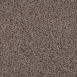 TEDDY FAUX FUR - Taupe