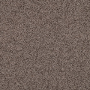 TEDDY FAUX FUR - Taupe