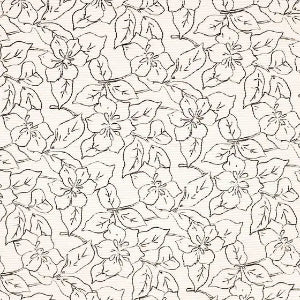 Velours côtelé stretch lavé -Pain blanc cassé aux fleurs
