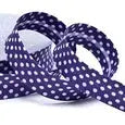 Biais à pois violet 18 mm - La boite à tissus