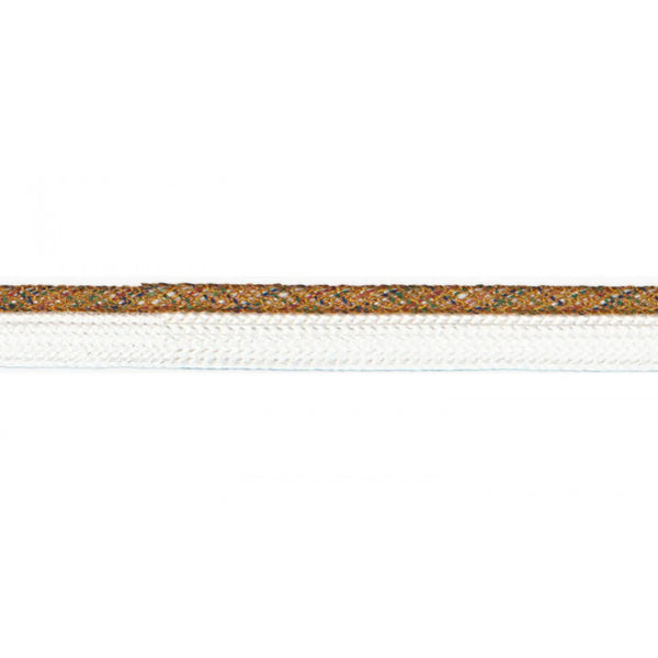Passepoil Lurex Multicolor 10 mm - La boite à tissus